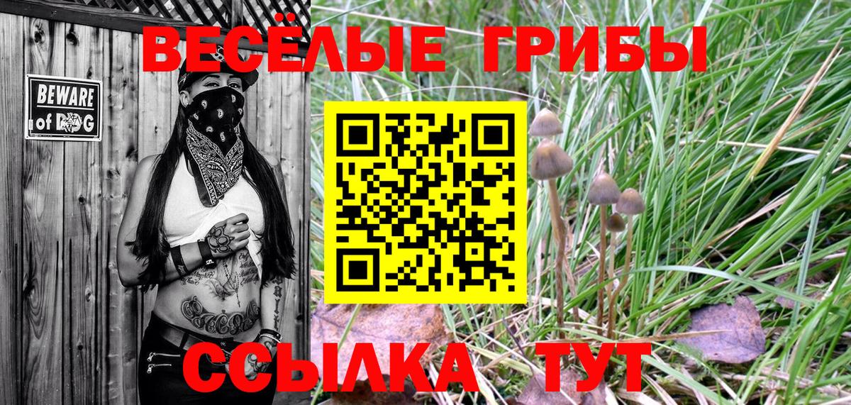 Псилоцибиновые грибы Psilocybine cubensis  Вход с VPN  Фрязино 
