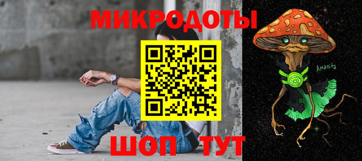 Псилоцибиновые грибы Psilocybe Фрязино