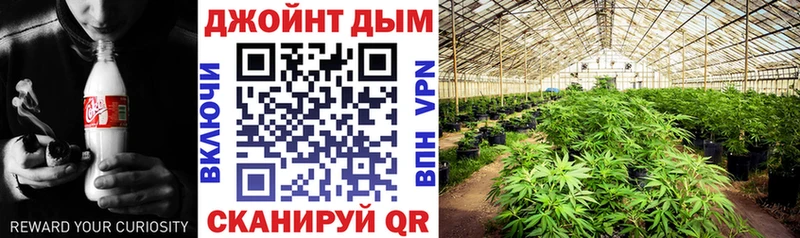 Канабис SATIVA & INDICA  Фрязино 
